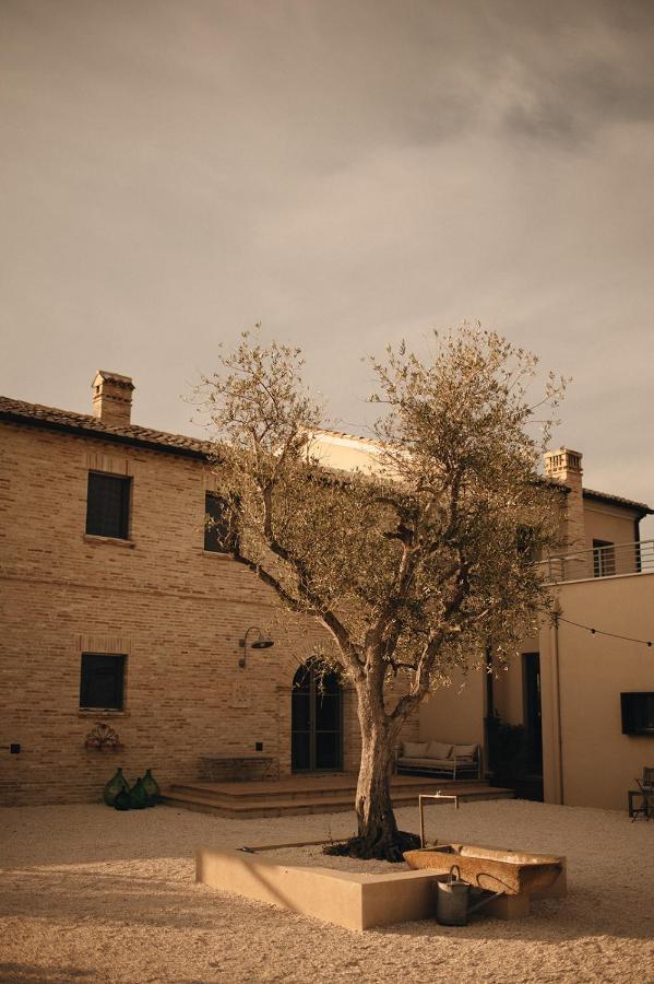 Casale Tre Gelsi Bed & Breakfast Cingoli Bagian luar foto